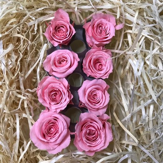 Cabezas Rosas Princesa Preservadas Caja 8 uds.
