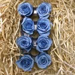 Cabezas Rosas Princesa Preservadas Caja 8 uds.