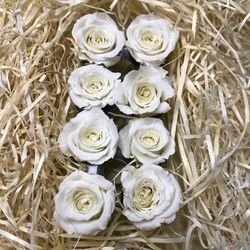 Cabezas Rosas Princesa Preservadas Caja 8 uds.