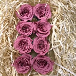 Cabezas Rosas Princesa Preservadas Caja 8 uds.
