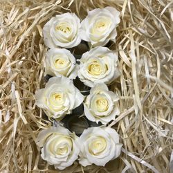 Cabezas Rosas Princesa Preservadas Caja 8 uds.
