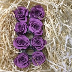 Cabezas Rosas Princesa Preservadas Caja 8 uds.