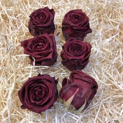 Cabezas Rosas Secas 6 unidades