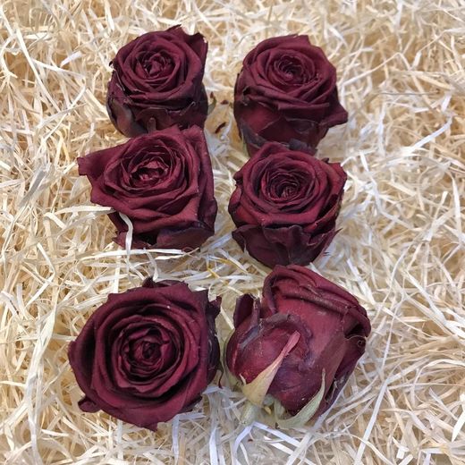 Cabezas Rosas Secas 6 unidades