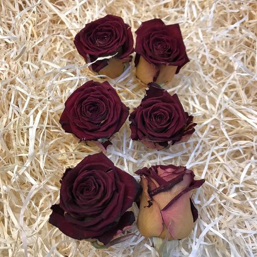 Cabezas Rosas Secas 6 unidades