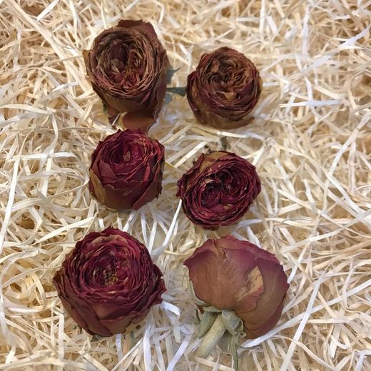 Cabezas Rosas Secas 6 unidades