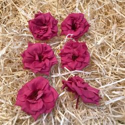Cabezas Rosas Silvestres M Preservadas 6 uds.