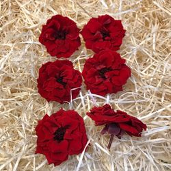 Cabezas Rosas Silvestres M Preservadas 6 uds.