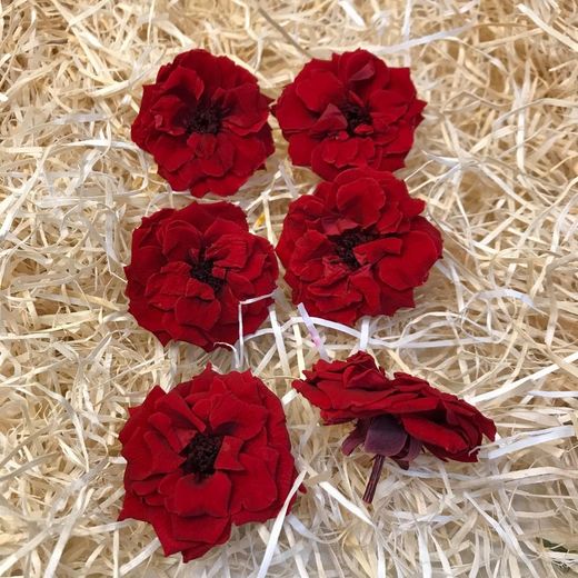 Cabezas Rosas Silvestres M Preservadas 6 uds.