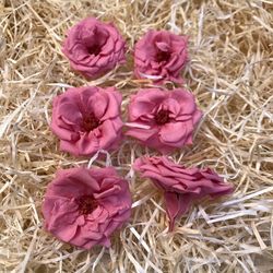 Cabezas Rosas Silvestres M Preservadas 6 uds.