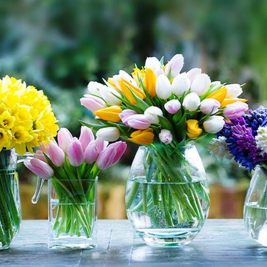 Boîte à fleurs Sélection de printemps