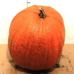 Calabazas de Halloween