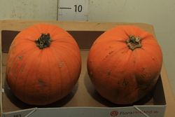 Calabazas de Halloween