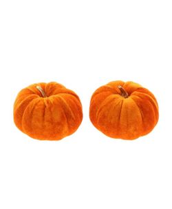 Calabazas de Terciopelo Ø10 X H6Cm (Bolsa 2U.)