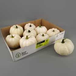 Citrouilles décoratives