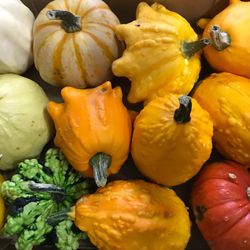 Calabazas Decorativas