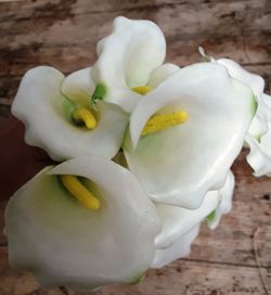 Callas Artificiales Pack 12 uds.