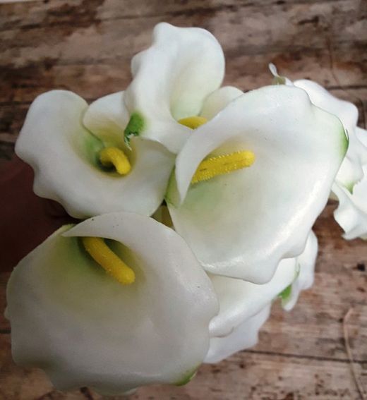 Callas Artificiales Pack 12 uds.