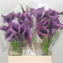 Callas Paco