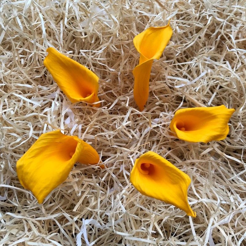 Callas Mini  Preservadas Caja 5 uds. Amarillo