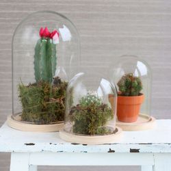 CAMPANA CRISTAL + BASE MADERA