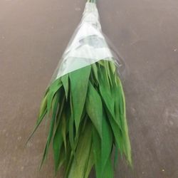 Roseaux avec des feuilles
