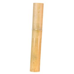 Cañas de Bambú secas