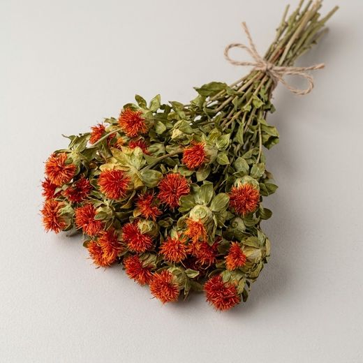 Carthamus natural seco