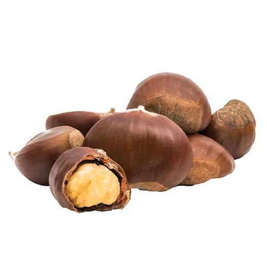 Castaño castanea Sativa