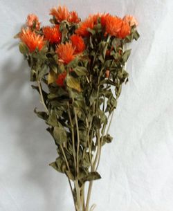 Carthamus/Helichrysum Colors Sec