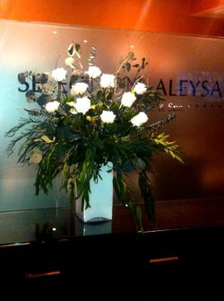 Centro Aleysa