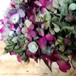 Centre Vidre Hortènsies