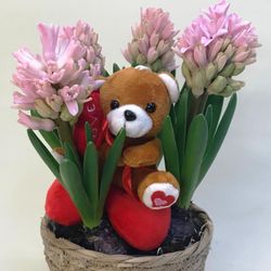 Cesta de Mimbre con Jacintos y Osito San Valentín