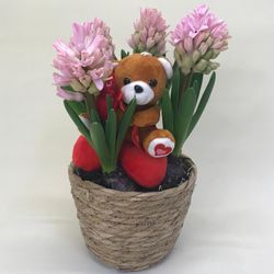 Cesta de Mimbre con Jacintos y Osito San Valentín