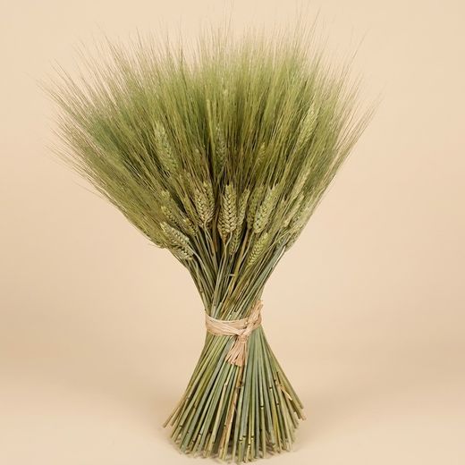 Pointes vertes centrales avec cheveux secs