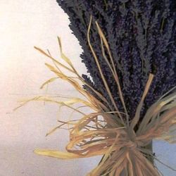 Centro Lavanda Natural Teñido