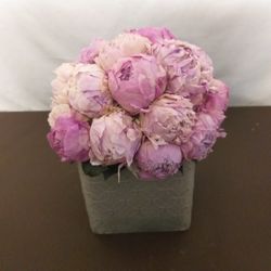 Centre de pivoines de qualité supérieure
