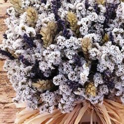 Centre Sec Mariner Gran