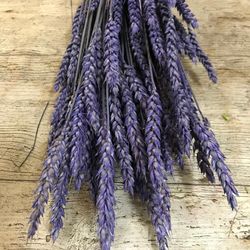 Centres Espigues Naturals Alt