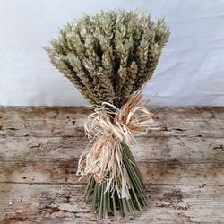 Centres Espigues Naturals Alt