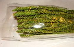 Centres Espigues Naturals Alt