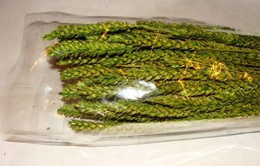 Centres Espigues Naturals Alt