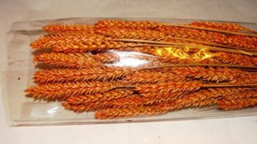 Centres Espigues Naturals Alt