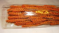 Centres Espigues Naturals Baix