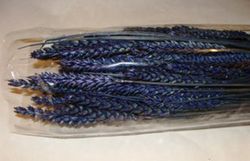 Centres Espigues Naturals Baix