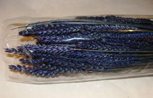 Centres Espigues Naturals Baix