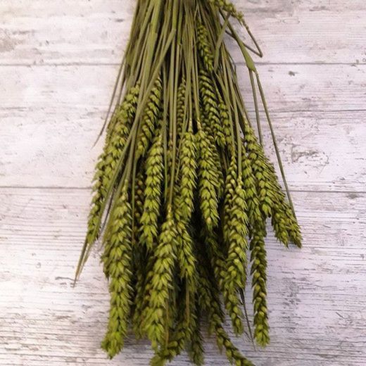 Centres Espigues Naturals Baix