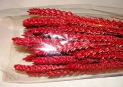 Centres Espigues Naturals Baix