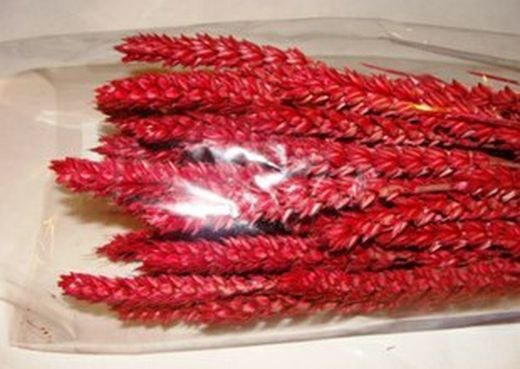 Centres Espigues Naturals Baix