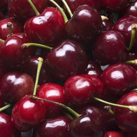 Cerezos Bing
